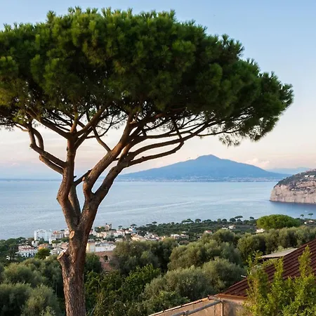 My Exclusive Italy - Luxury With Breathtaking Seaview, Pool, Bbq Villa *